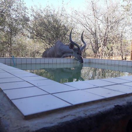 Eagle'S Crest Villa Marloth Park Ngoại thất bức ảnh