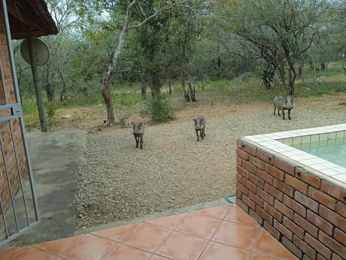 Eagle'S Crest Villa Marloth Park Ngoại thất bức ảnh