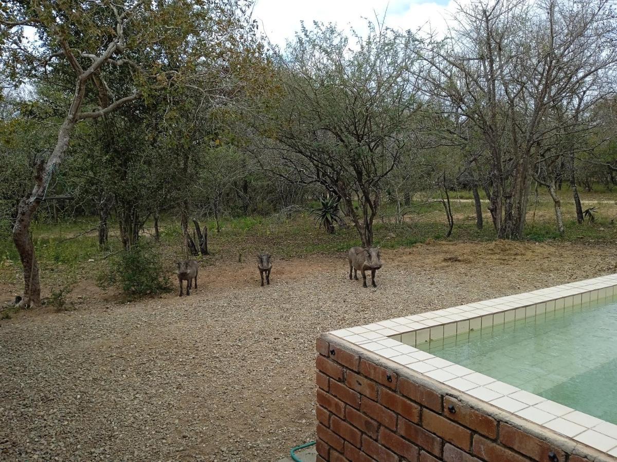 Eagle'S Crest Villa Marloth Park Ngoại thất bức ảnh