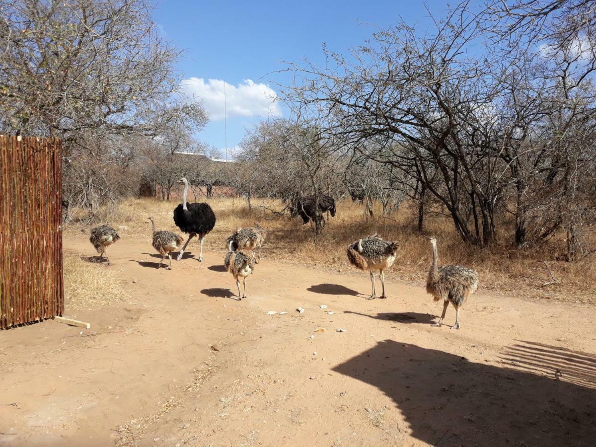 Eagle'S Crest Villa Marloth Park Ngoại thất bức ảnh